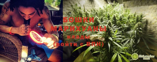 apvp Белокуриха