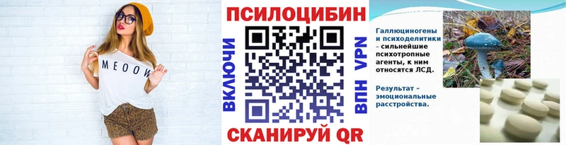 Купить где  Мещовск  Псилоцибиновые грибы MAGIC MUSHROOMS 